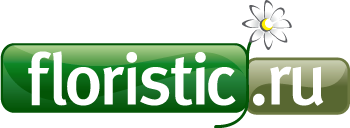 ����� ��������� - ����� ���������� � ��� ������ � ����������!